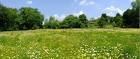 Meadow pronunciation