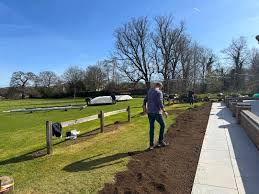 Image result for Welwyn Garden City Cricket Club