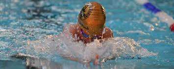 Image result for Wellington Swimming Club