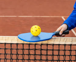 Image result for Townsend Community Association Table Tennis Club