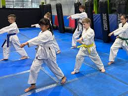 Image result for Southill Karate Club