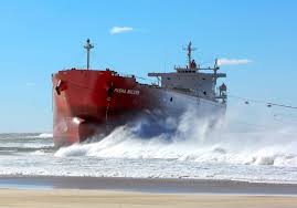 Image result for Pasha bulker