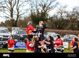 Image result for Camborne Rugby Football Club