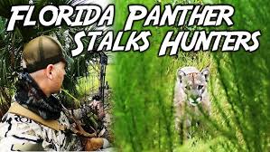 Image result for Panther Bowhunters Field Archery Club