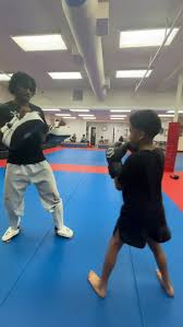 Image result for Suwanee Martial Arts Center