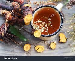 Attēlu rezultāti vaicājumam “Rumex confertus fruit”