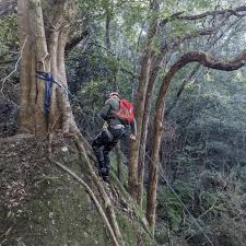 Image result for newcastle university mountaineering club