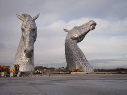 Image result for Scottish Equi Complex