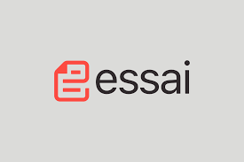 Image result for essai