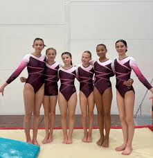 Image result for Rowan Gymnastics Club