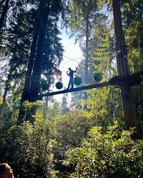 Image result for Go Ape! Thetford