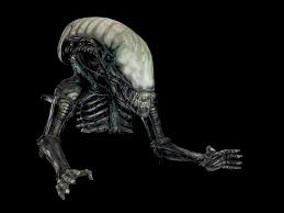 Image result for xenomorph