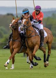 Image result for Kirtlington Park Polo Club