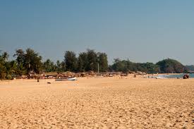 Image result for patnem beach