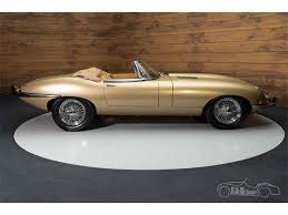 Image result for Golden Sand 1962 Jaguar