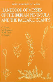 Attēlu rezultāti vaicājumam “Atrichum flavisetum sporophyte”