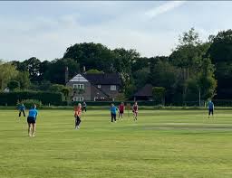 Image result for Ewhurst Stoolball Club