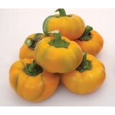 Afbeeldingsresultaat voor topepo giallo sweet pepper