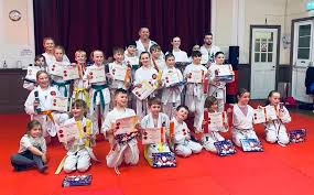 Image result for Cobra Karate Club