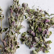 Image result for Oregano