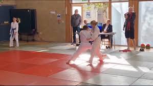 Image result for Phoenix Star Judo Club