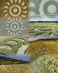 Image result for crop circles