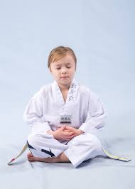 Image result for Bytomic Tae Kwon Do Windsor