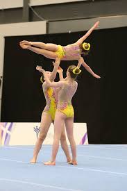 Image result for West Lothian Artistic Gymnastic Club