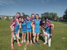 Image result for Lingfield Cricket Club