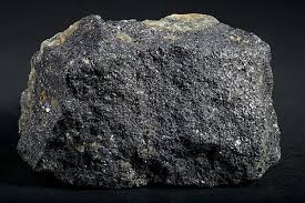 Attēlu rezultāti vaicājumam “Lindbladia tubulina”