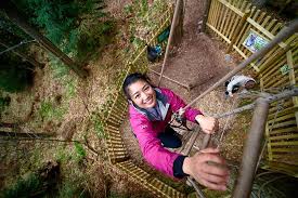 Image result for The Go Ape Experience (Delamere Forest)