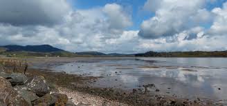 Image result for Solway