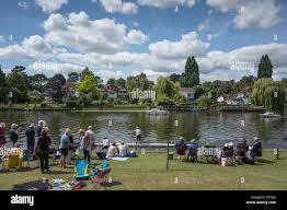 Image result for Thames Punting Club