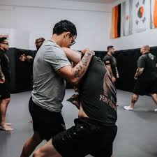 Image result for Combined self defence arts