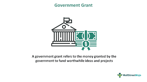 Government grants funding