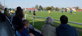 Image result for Ockley Acorns Junior F C