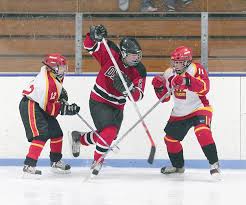 Image result for Old Reigatian Hockey Club