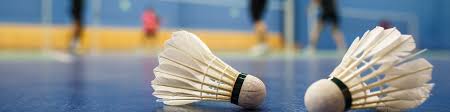 Image result for Angel Centre Badminton Club