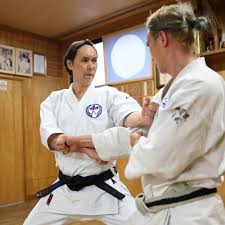 Image result for Karate Wado Kai