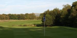 Image result for Avro Golf Club