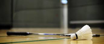 Image result for Dolphin Badminton Club