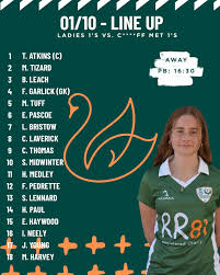 Image result for Swansea Ladies Hockey Club