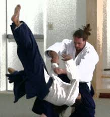 Image result for Kokyu Aikido Association