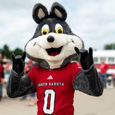 Image result for Hartlepool Coyotes