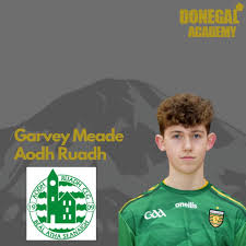 Image result for Aodh Ruadh Clg