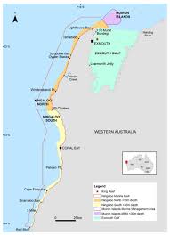 Attēlu rezultāti vaicājumam “Trichia scabra sessile”