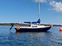 Image result for Newtownards Sailing Club