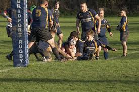 Image result for Ellingham and Ringwood Rugby Club