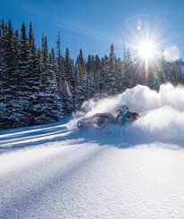 Image result for snowmobile