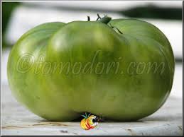 Afbeeldingsresultaat voor grubbs mystery green tomato